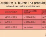 Pracownik IT: Kim jest? Zarobki, ścieżki kariery i przyszłość branży
