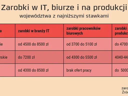 Pracownik IT: Kim jest? Zarobki, ścieżki kariery i przyszłość branży