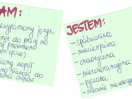 Rozmowa o pracę: "Mam: niewyparzony język, wstręt do pracy w open space, słomiany zapał, słabość do chipsów. Jestem: spóźnialska, niecierpliwa, chaotyczna, nietolerancyjna, pyskata, niezdecydowana.