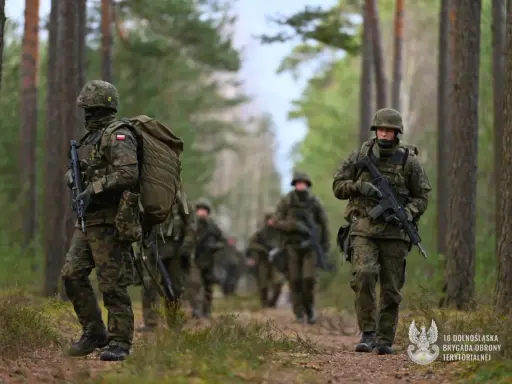 Z WOT do wojska zawodowego: Twój przewodnik po karierze w armii