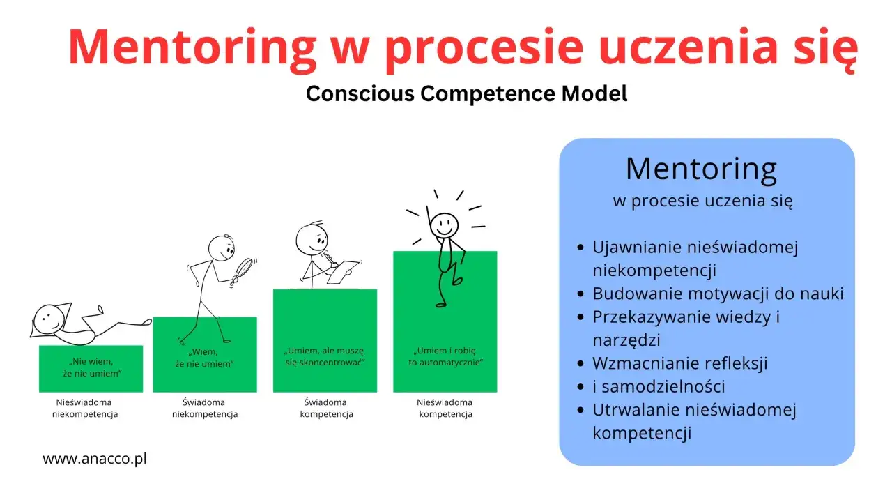Mentoring w procesie uczenia się: od nieświadomej niekompetencji do automatyzacji. Pomaga ujawniać, budować motywację i przekazywać wiedzę.